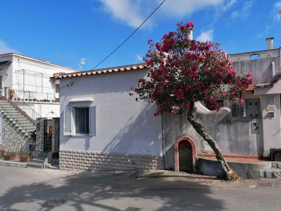 Sweet Home, Anacapri エクステリア 写真